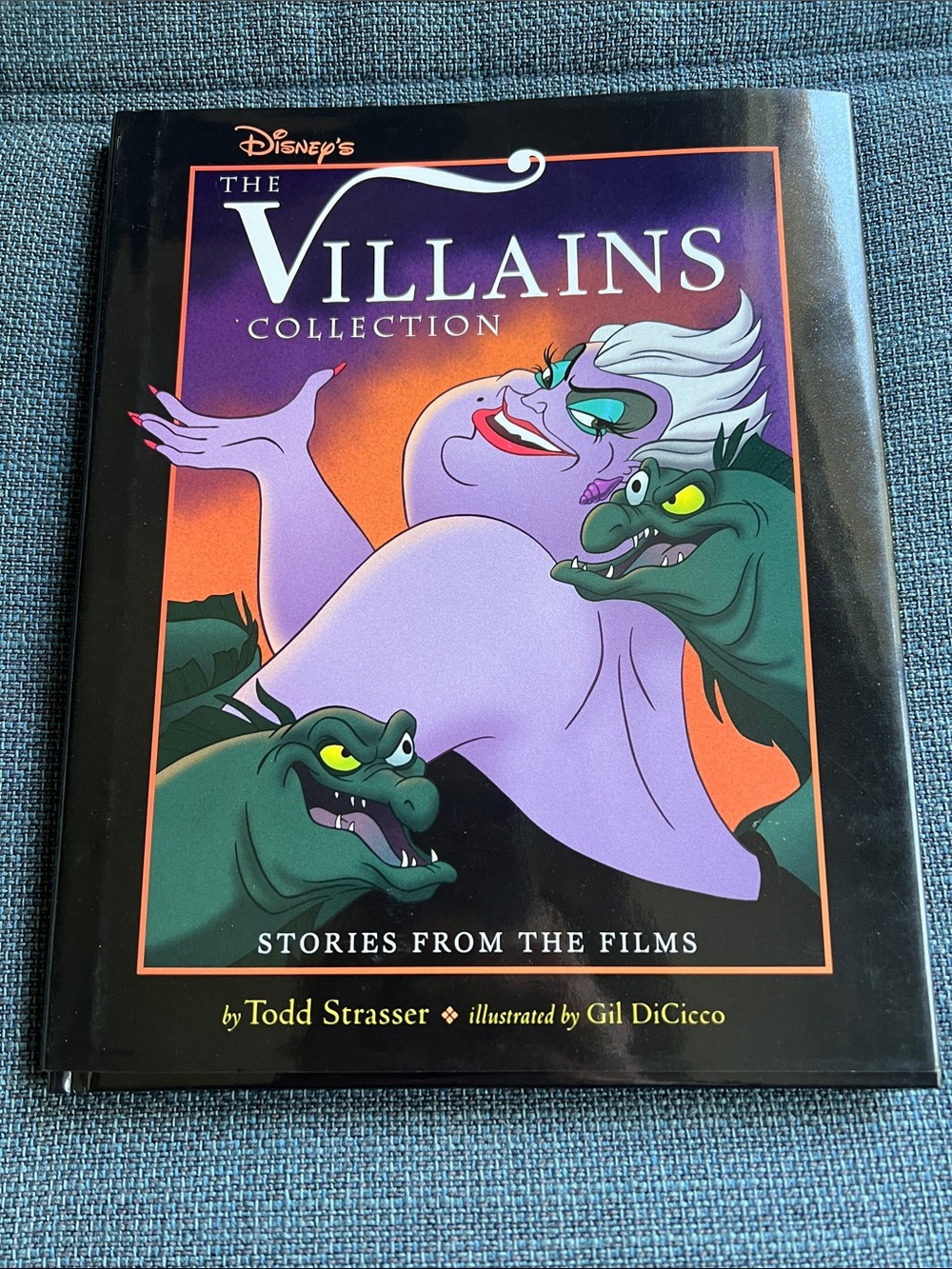 Disney Villains Collection Hardcover - Purple, Black & Green Artwork